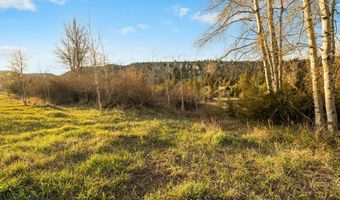 NHN Lime Spur Road, Anaconda, MT 59711