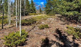 270 Co Rd 667 Lot 0, Alma, CO 80440