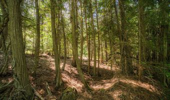 Nna Log Cabin Rd, Bonners Ferry, ID 83805