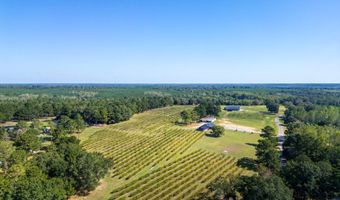207 Wolf Creek Dr, Americus, GA 31719