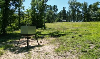 80 N4130 Rd, Antlers, OK 74523