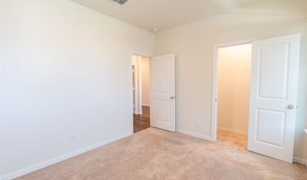 1321 Forest Haven Dr, Anna, TX 75409