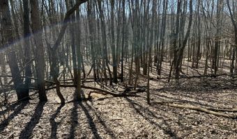 5725 Whitneyville Ave SE, Alto, MI 49302