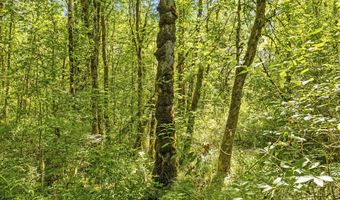 29311 NE 124TH Ave, Battle Ground, WA 98604