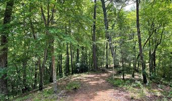21 Collett Woods Trl Lot #21, Andrews, NC 28901