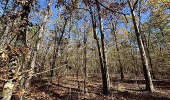 0 CANOE Dr 5.2 Acres - Portion of the Parcel offered on mls, Ashville, AL 35953