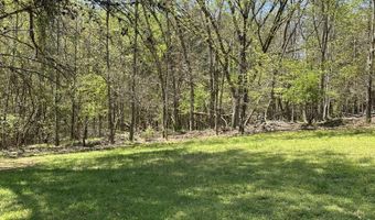 267 Back 9 Dr, Baneberry, TN 37890