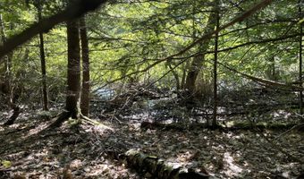 Birch View Drive lot # 0, Albany Twp., ME 04217