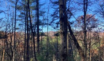 Lot # 3 Panther Creek Properties, Almond, NC 28702