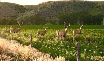 6 Whitney Dr, Cody, WY 82414