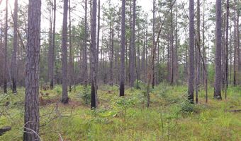 Hwy 9, Bruce, MS 38915