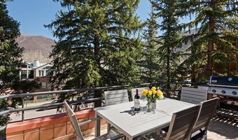 208 S Spring St #1, Aspen, CO 81611