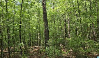 0 CRAGFORD Rd, Ashland, AL 36251