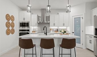 1028 Katrin Dr, Alamo, TX 78516