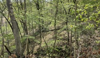 State Hwy N Tract G, Ava, MO 65608