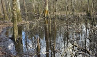 U.S. Highway 51, Bogue Chitto, MS 39629