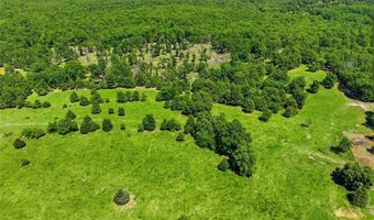 210 County Road 320, Alton, MO 65606