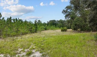 3670 25th Cir, Bell, FL 32619