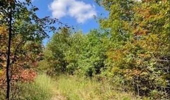 10 Church Road CR 114, Annapolis, MO 63620