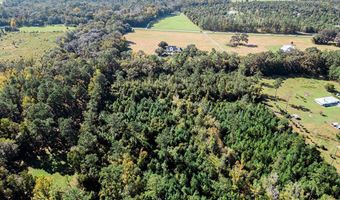 TBD State Rd 121, Alachua, FL 32615