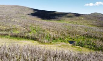 2493 Greer Rd, Bellvue, CO 80512