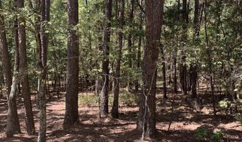 17 Fonsagrada Cir, Hot Springs Village, AR 71909