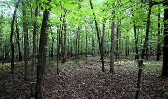 000 AVE 5 SW St, Atkins, AR 72823