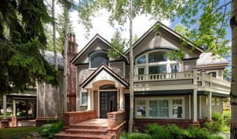 205 N 6th St, Aspen, CO 81611