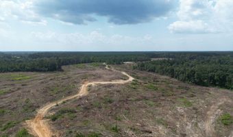 SE Cole Drive, Bogue Chitto, MS 39629