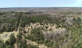 5280 Cathro Rd, Alpena, MI 49707