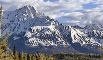 B005 Packsaddle Road, Chickaloon, AK 99674