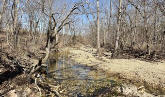 Rt 1 County Rd 14-531, Ava, MO 65608