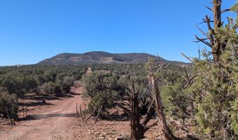 77 CR N8604, Concho, AZ 85924