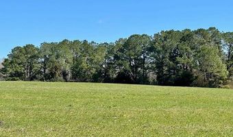 0 Tervin Mill Rd, Andalusia, AL 36421