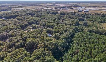 912 22nd Ct, Bell, FL 32619