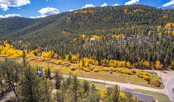 103 Gross Rd, Bailey, CO 80421