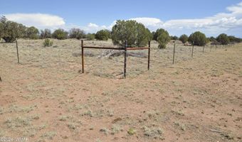 19 C & D County Rd N9033, Concho, AZ 85924