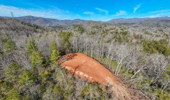 430 Live Oak Ter, Andrews, NC 28901
