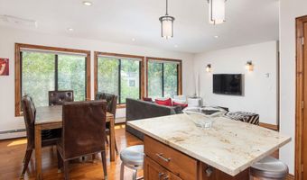 725 E Main St #309, Aspen, CO 81611