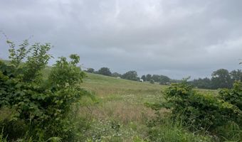 1107 Lower Ford Rd, Ava, MO 65608