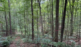 Holiday Lake Road, Appomattox, VA 24522