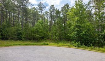 Lot 113 Dock Side Lane, Lincolnton, GA 30817