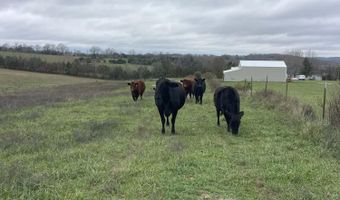 2174 County Road A-425, Ava, MO 65608