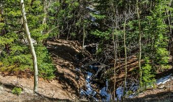 270 Co Rd 667 Lot 0, Alma, CO 80440