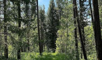 1597 Annies Lndg, Ashton, ID 83420