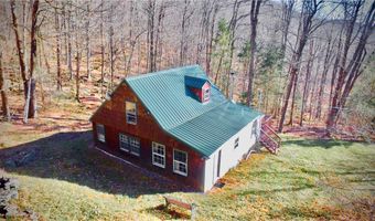 339 Mountain Lake Rd, Andes, NY 13731