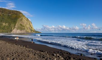 46-3916 HONOKAA WAIPIO Rd, Honokaa, HI 96727