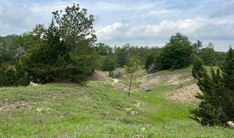 R13945 A0049 J Peterson tract 11 Acres 50.715, Anderson, TX 77830