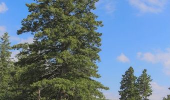 387 OLD CAMP Rd, Bellvue, CO 80512