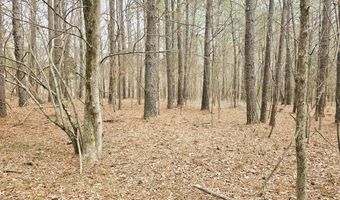 Zig Zag, Big Sandy, TN 38221